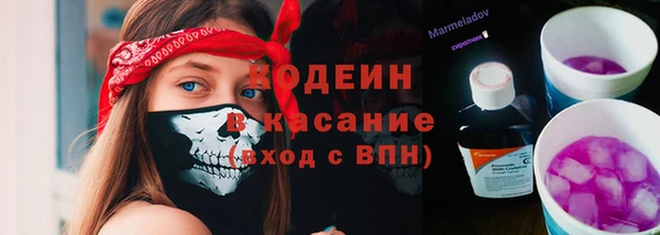 прущий лед Тихвин