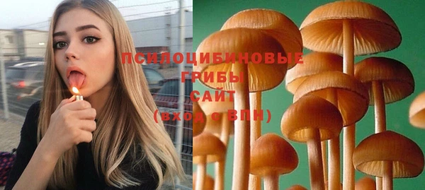 кокс Туринск